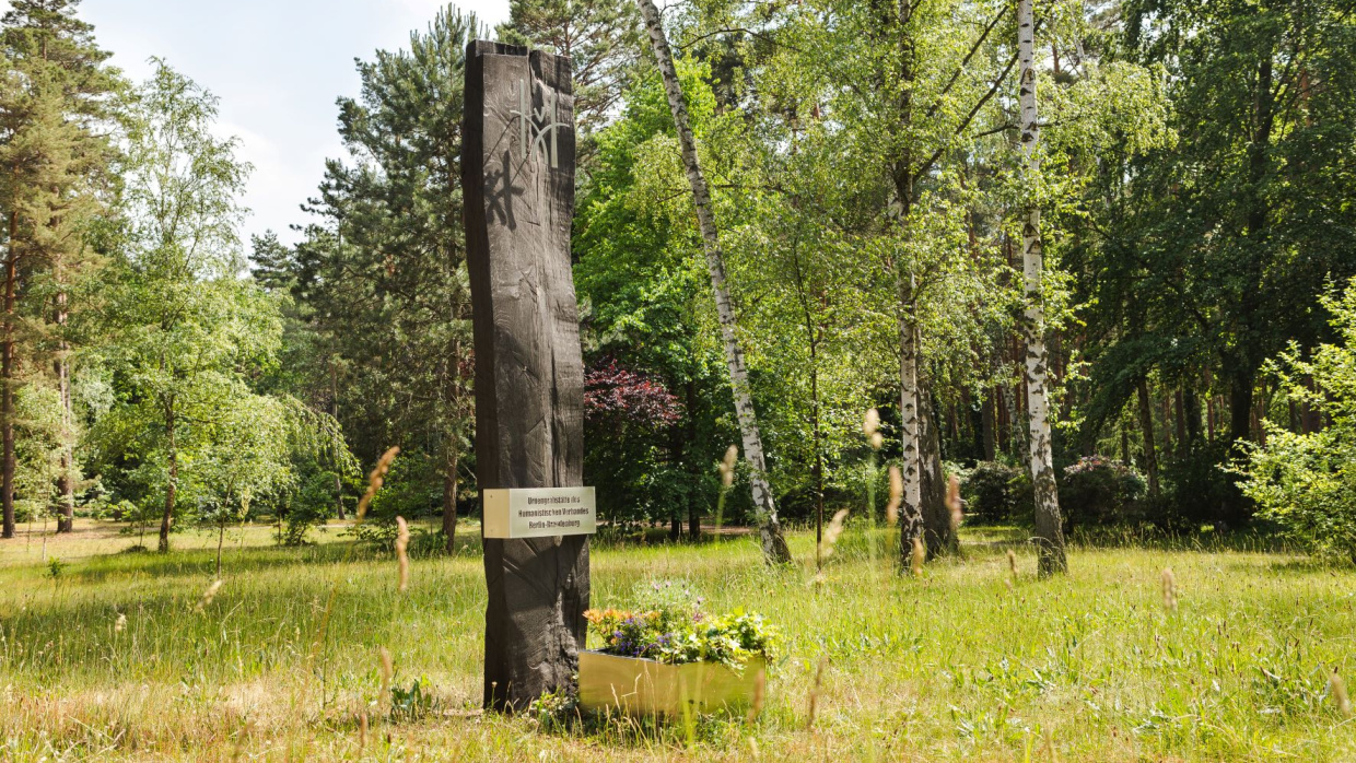 Humanistischer Bestattungshain auf dem Waldfriedhof Zehlendorf